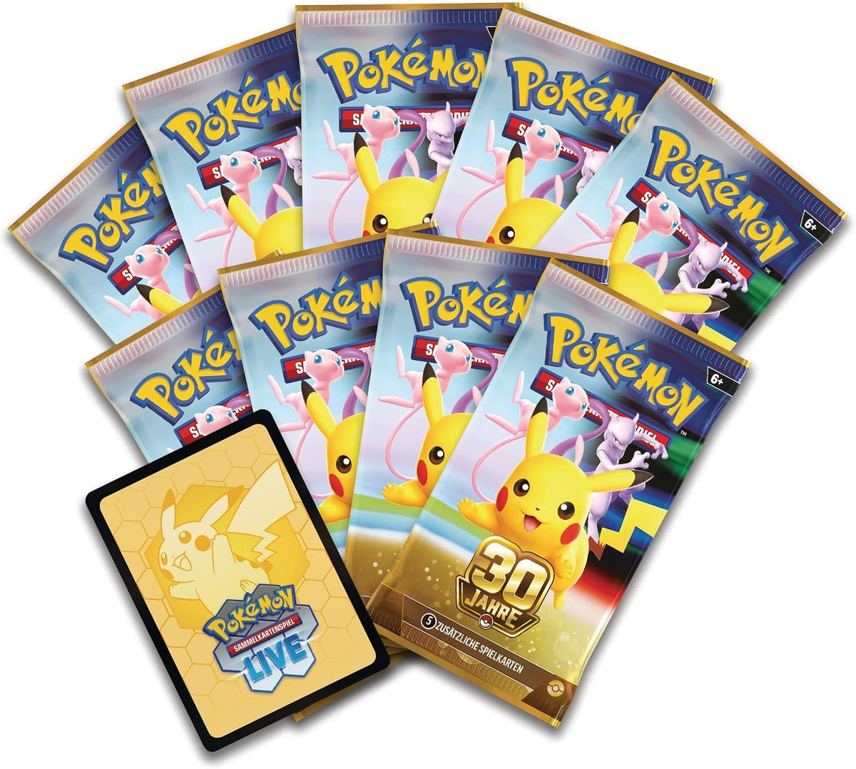 30 Jahre Top-Trainer-Box