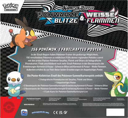 Pokémon Schwarze Blitze & Weiße Flammen - Poster-Kollektion